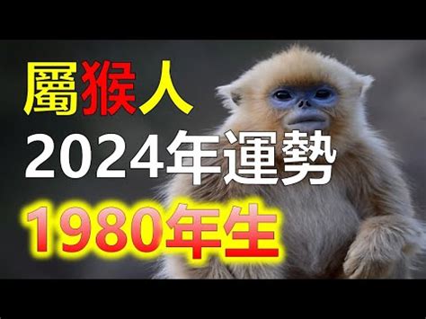 猴五行|【生肖猴五行命運】生肖屬猴五行屬性的人性格命運 